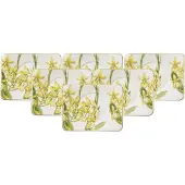 Villeroy & Boch Teeuntertassen Amazonia 17 x 14 cm Set van 6