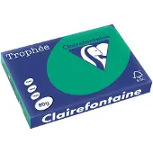 Clairefontaine Dennengroen A3 Gekleurd papier 80 grams (500 vel)