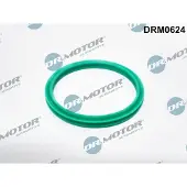 Dr.Motor Automotive DRM0624 Dichtring, laadluchtslang