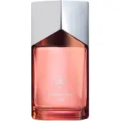 Mercedes-benz Land Eau de Parfum - navulbaar, 100 ml (voor mannen)