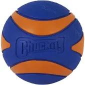 Chuckit! Ultra Squeaker Ball XL