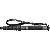 Gitzo GM2562T carbon monopod series 2