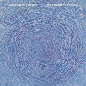 Konkurrent Walt McClements - On A Painted Ocean (LP)