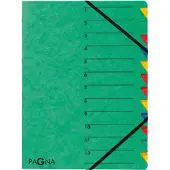 Pagna 24131-03 trieur a4 easy en carton avec 12 onglets colorés (vert)