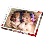 Trefl 500 EL. Sleeping k ittens