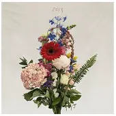 Cd 2013