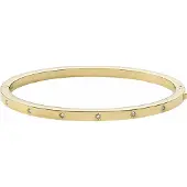 Fossil Armband goud / transparant