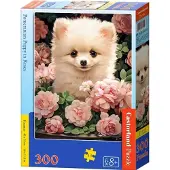 Castor Puzzel 60 Stukken: Pomeranian Puppy in Rozen
