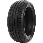Delinte DS2 205/55 R16 91H zomerbanden