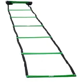 Prince Training Ladder