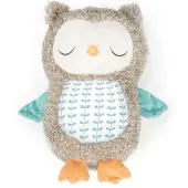 Ingenuity Snuggle Sounds knuffel met Bluetooth-luidspreker - Nally uil