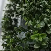 Maxifleur Kunstplanten Kunst Buxus Guirlande 180cm UV Deluxe