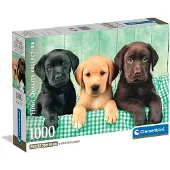 Clementoni - Puzzel - 1000 Stukjes - Drie Labradors - Puzzel Voor Volwassenen - High Quality Collection