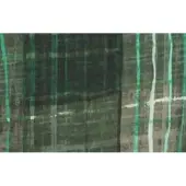 Madison Zitkussen 46x48 Johnny green