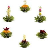 Creano Theebloemen boeket groene thee - Bloementhee - Losse Theebloemen | 6 stuks