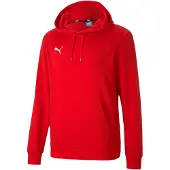 Puma Mannen, Springer, TeamGoal 23 Casuals Hoodie Heren, Groen, (M)