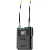 Deity THEOS D2RX Dual-Channel Wireless Receiver (Global version)