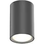 Wever & Ducre Tram Outdoor Plafondlamp Anthracite Grey