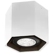 Wever & Ducre - Hexo Mini Ceiling Surface 1.0 PAR16 spot
