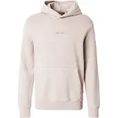 Superdry Sweatshirt beige / donkerbeige