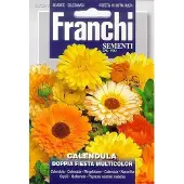 Franchi - Calendula Doppia Fiesta - Goudsbloem Mengsel