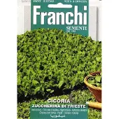 Franchi - Cicoria Di Trieste - bladcichorei