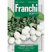 Franchi - Radijs, Ravanello Tondo Bianco 112/2