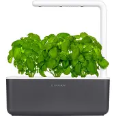 Click & Grow Smart Garden 3 - Dark Grey
