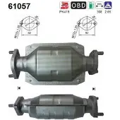 As 61057 Katalysator
