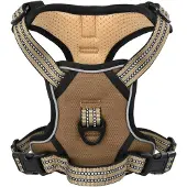 vidaXL Hondentuigje met riem en halsband verstelbaar XL bruin