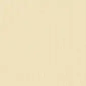 Vaessen creative Cardstock 30,5 x 30,5 cm - Beige - Raffia - 100 vellen - Textuur - 216g