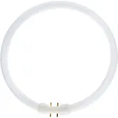 Philips 12x G10q Ronde TL-buis | 32W 4000K 2375lm 840