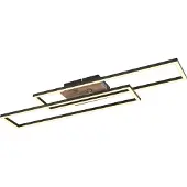 Globo Draaibare plafondlamp Dakari 30W