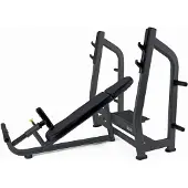 Toorx Professional WBX-B3800 Olympische Halterbank Incline