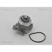 TRISCAN 8600 29056 Waterpomp