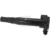 EFI 155501 Bobine