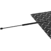 RIDEX 219G1075 Gasveer achterklep