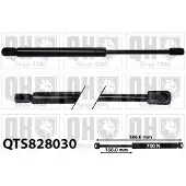Quinton Hazell QTS828030 Gasveer achterklep
