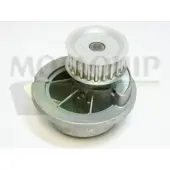 MOTAQUIP VWP828 Waterpomp