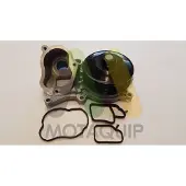 MOTAQUIP LVWP1056 Waterpomp