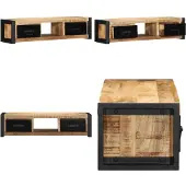 vidaXL TV-kast, 100x30x25 cm, ruw massief mangohout