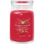 Yankee candle Geurkaars Large Jar Sparkling Cinnamon 567 gr