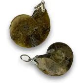 Ruben Robijn Edelsteenhanger ammoniet 1st -