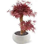 Maxifleur Kunstplanten Acer Bonsai kunstboom 60cm - burgundy
