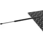 RIDEX 219G1295 Gasveer achterklep