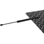 RIDEX 219G1279 Gasveer achterklep
