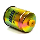 BSG 30-130-002 Brandstoffilter