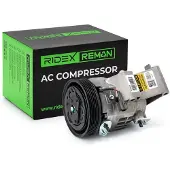 RIDEX 447K0622R Aircopomp