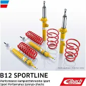 EIBACH E95-81-018-02-22 Schokdemper met veer