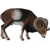 Collecta Figurine - Moeflon - (L) - Wilde Dieren - Handgeschilderd - Miniatuur